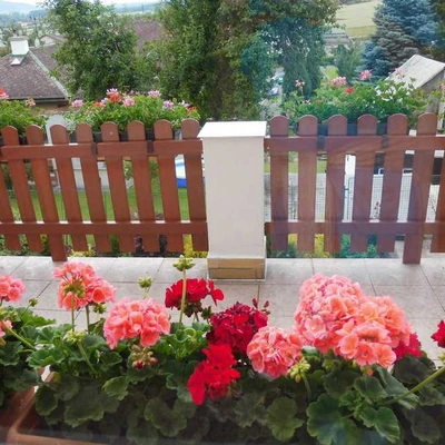 ploty Hradec Králové