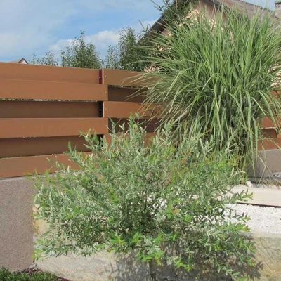 ploty Hradec Králové